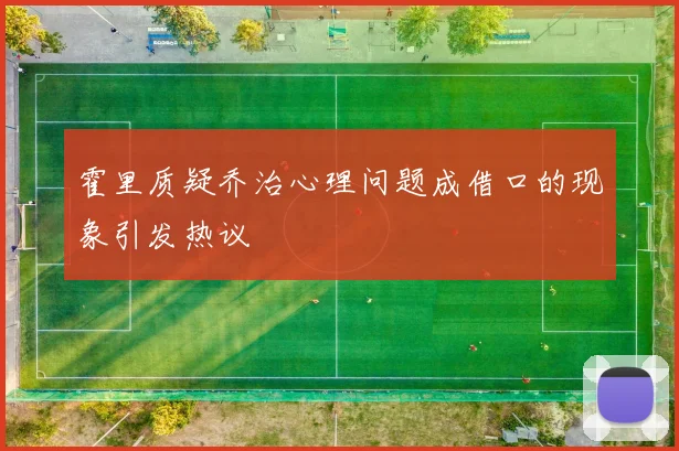 霍里质疑乔治心理问题成借口的现象引发热议