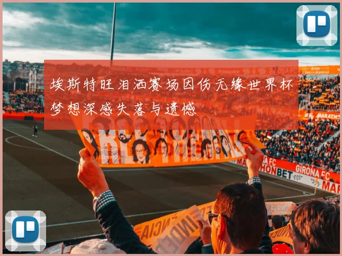 埃斯特旺泪洒赛场因伤无缘世界杯梦想深感失落与遗憾